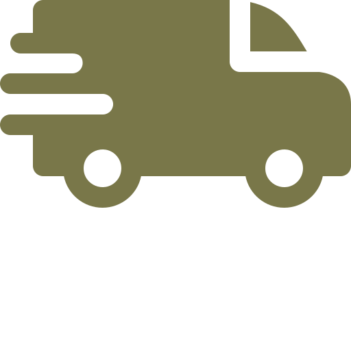 fast delivery icon